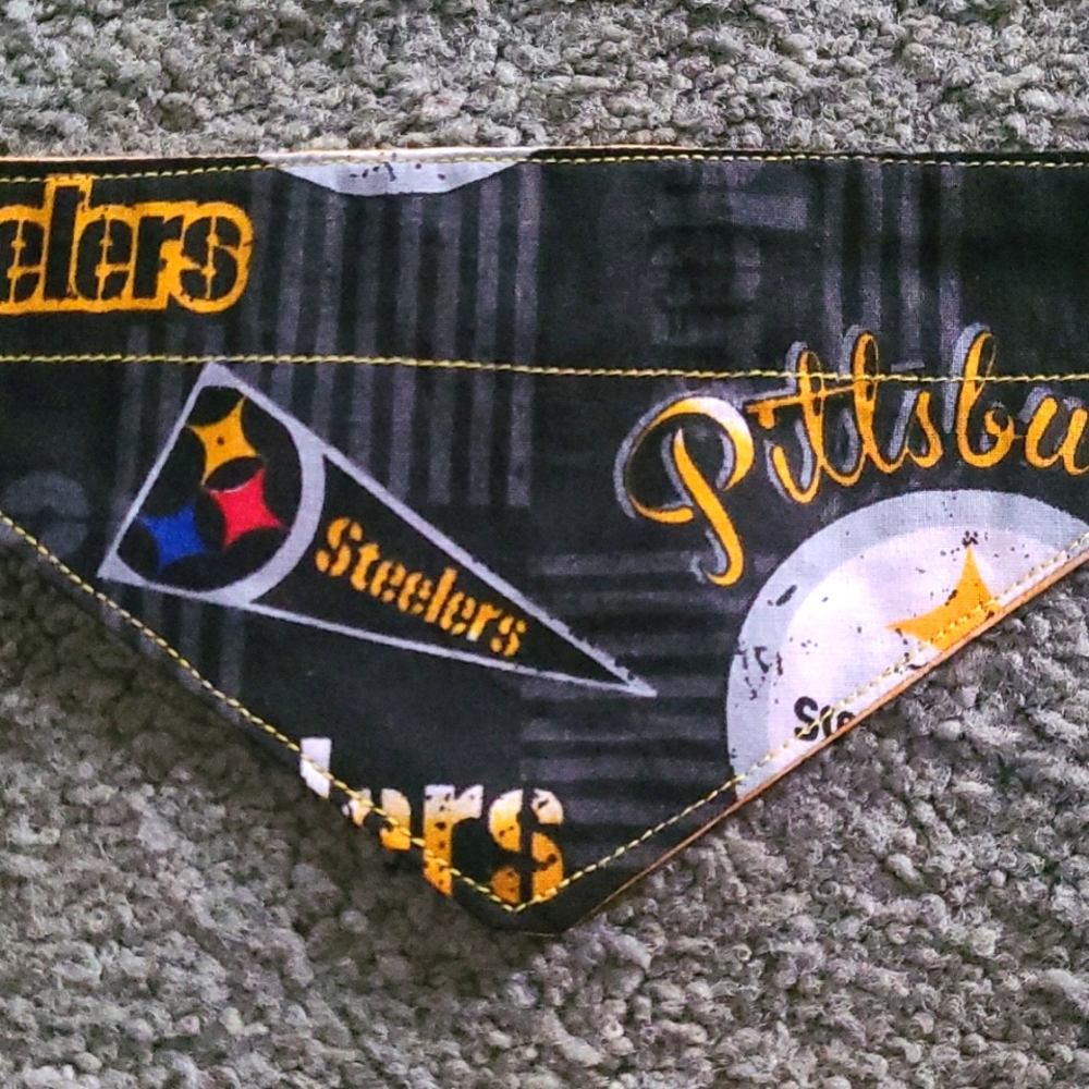 Xsmall reversible dog/cat bandana